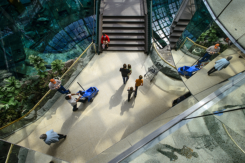 Canada, Edmonton. July/26/2014. West Edmonton Mall (WEM)