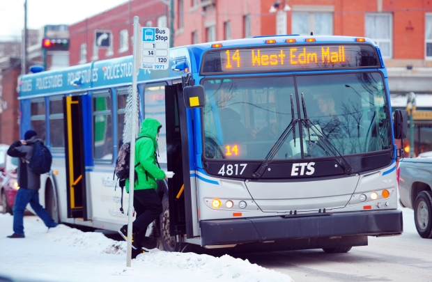 are dogs allowed on edmonton transit