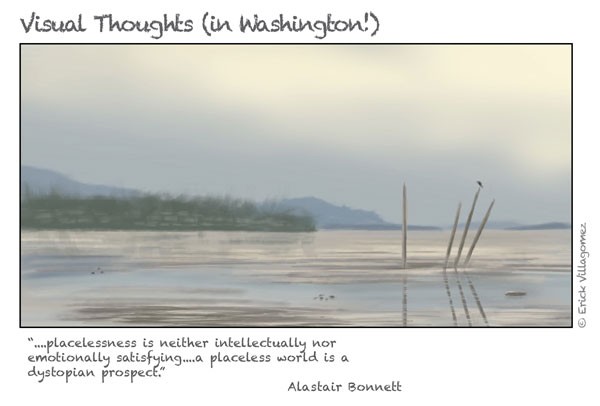 VisualThoughts_50