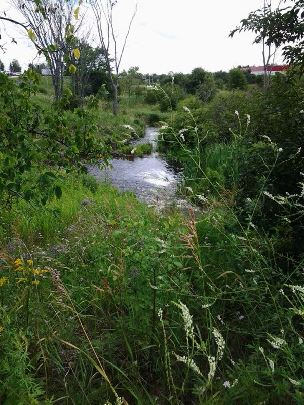 Restored creek near the Bangor Mall
