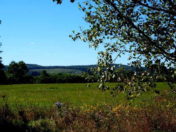 Natural and rural scenes, along the trail in Douglas, near Fredericton.