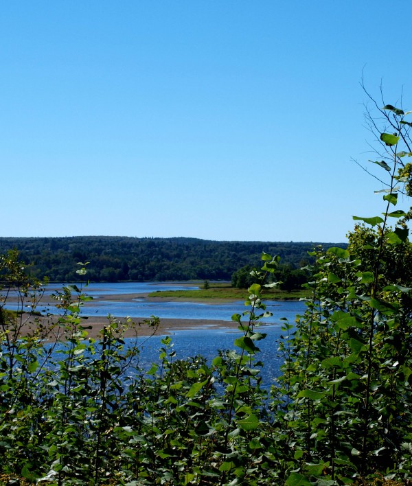 Saint John River – along the trail in Douglas, near Fredericton.