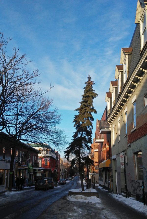 Avenue Duluth, February 2018