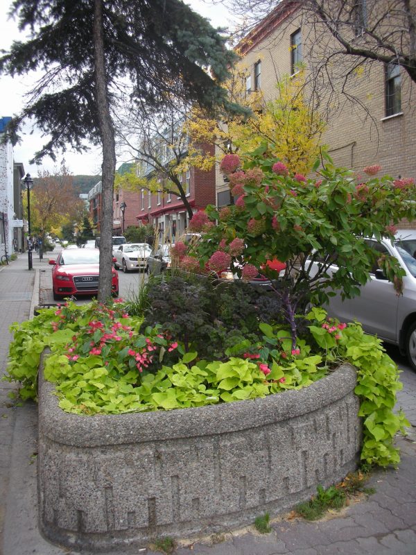 Avenue Duluth, October 2010