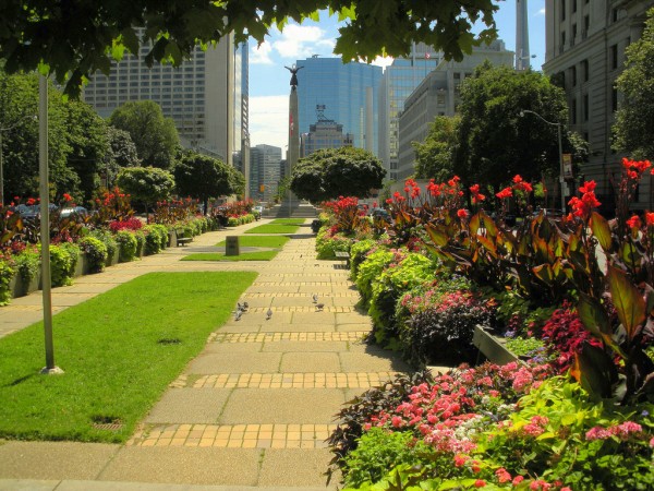 Greenery in the median on University Avenue by Tom Flemming via flickr, creative commons licence