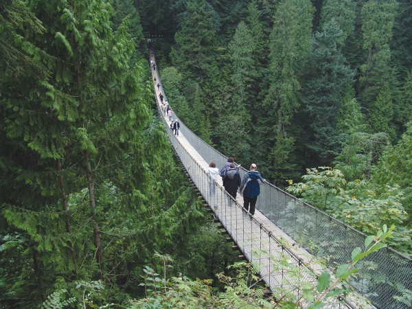 Five Unique Urban Bridges In Canadian Cities Spacing National