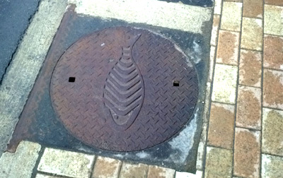 Ottawa sewer grate