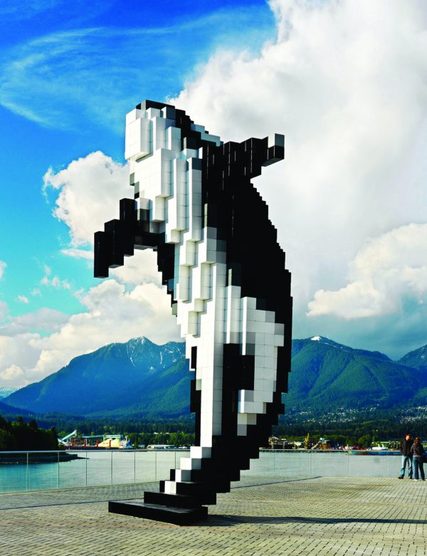 orca-vancouver