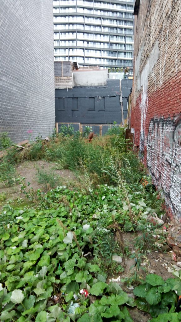 Fallow lot at Sherbourne St. and Gerrard St.