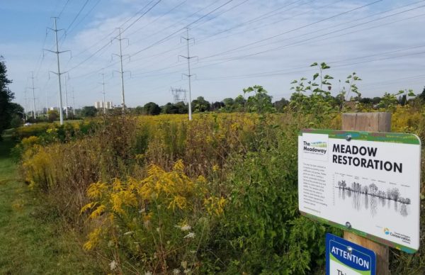 Meadow restoration location with sign