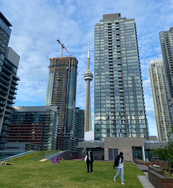 Going green: park atop the roof of Canoe Landing Community Centre within sight of the CN Tower.