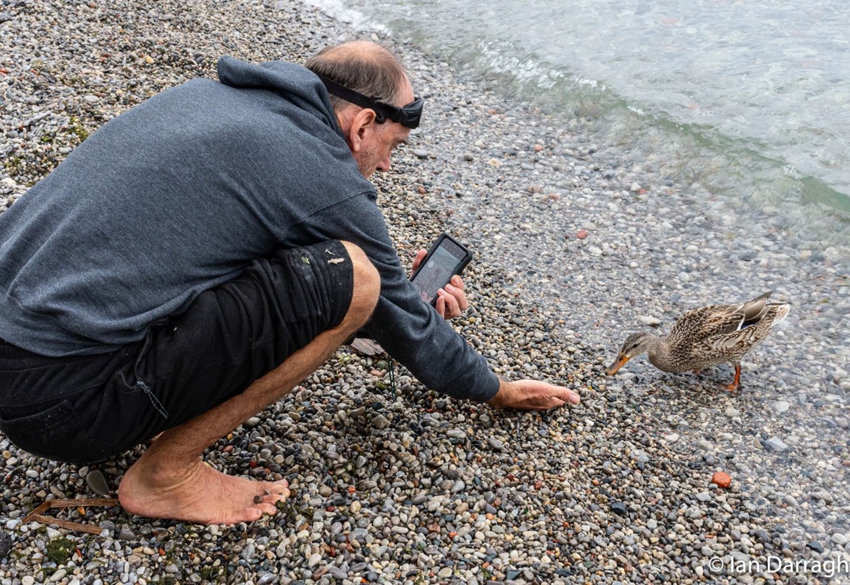 Prof. Steve Mann videos a curious duck on Michael Hough Beach. Ontario Place’s West Island is home to beaver, mink, foxes and rabbits. Their habitat will be destroyed if the Therme plan proceeds