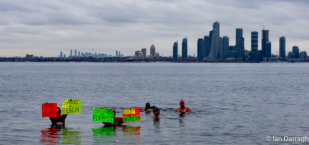 Protestors against the mega-spa at Ontario Place take a polar bear dip at the pebble beach on the West Island, January 1, 2024. This beach will be destroyed by the redevelopment proposal.