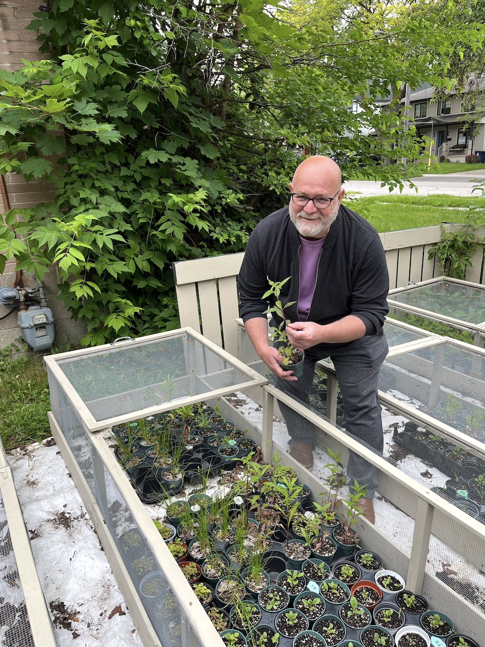 Douglas Counter propagates local plants that grow in his garden. Counter provides these plants to people on his garden tours so they can take them home and plant them in their gardens.