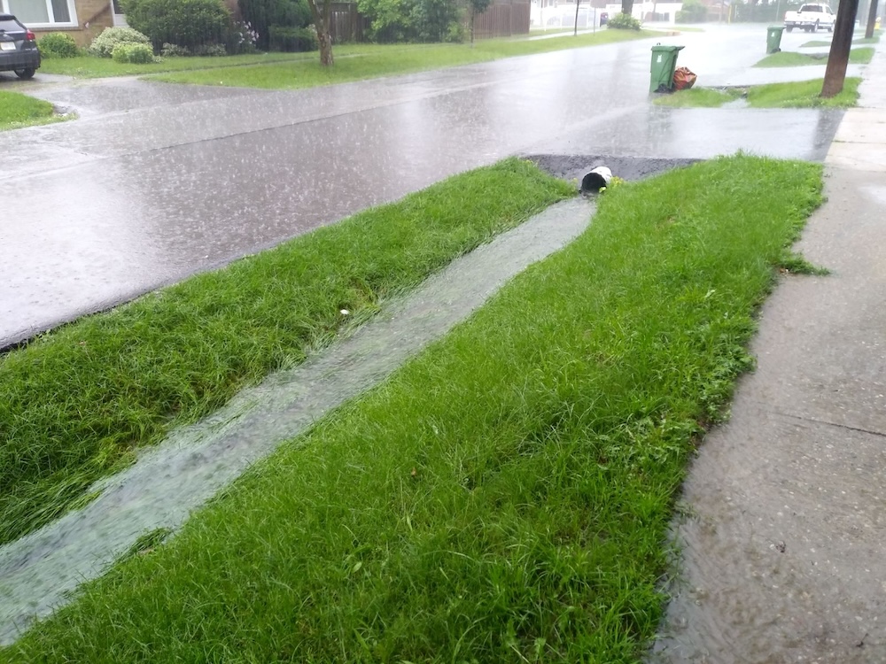 A photo of a drainage ditch across the street from Counter’s property. Counter’s boulevard looked similar to this at the time he contacted the TRCA. This particular ditch was re-graded by the City in 2023 to improve the flow of water.