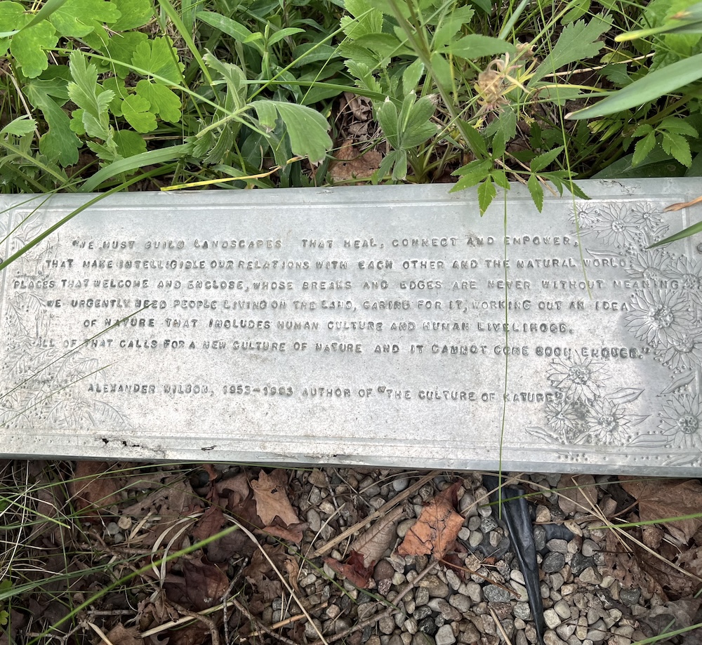 A plaque in Counter’s garden featuring a quote from The Culture of Nature by Alexander Wilson.