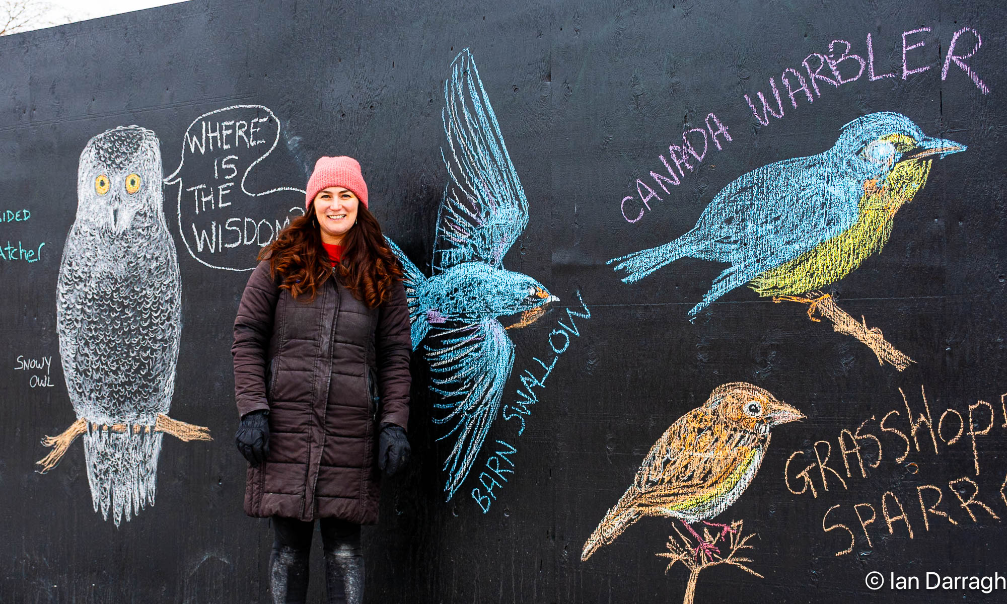 Birder and tree guardian Francesca Bouaoun was one of many artists who sketched birds that nest or stopover at Ontario Place on the hoarding along Lake Shore Boulevard West last winter and spring.