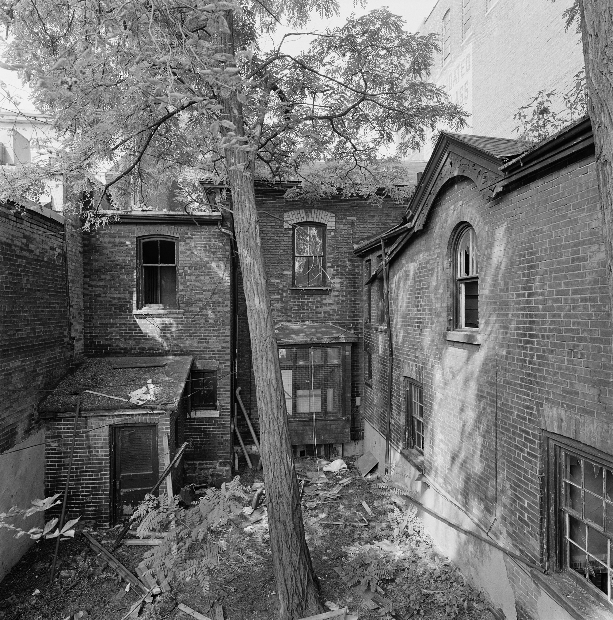 Rear Facades of Vacant House, 233-235 Spadina, 1984.