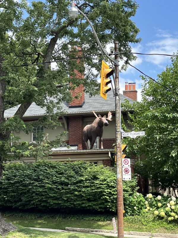 A home my mom and I encountered during our walk in a neighbourhood near the site of Verna Patronella Johnston’s house. When we noticed the large moose sculpture on the roof, we simply had to take a photo. It made us laugh.