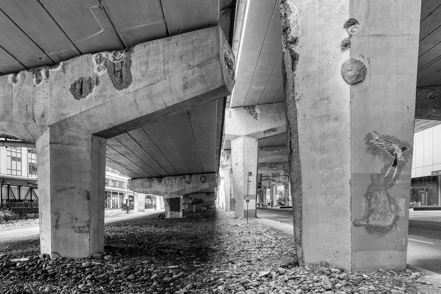 Aging concrete columns supporting the Gardiner Expressway show corrosion caused by years of leaking expansion joints and de-icing salt contamination.