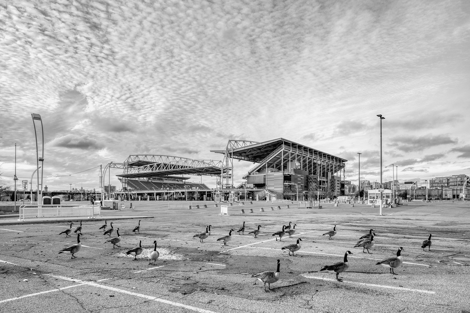 The expansive exhibition ground parking lots surrounding BMO Field.