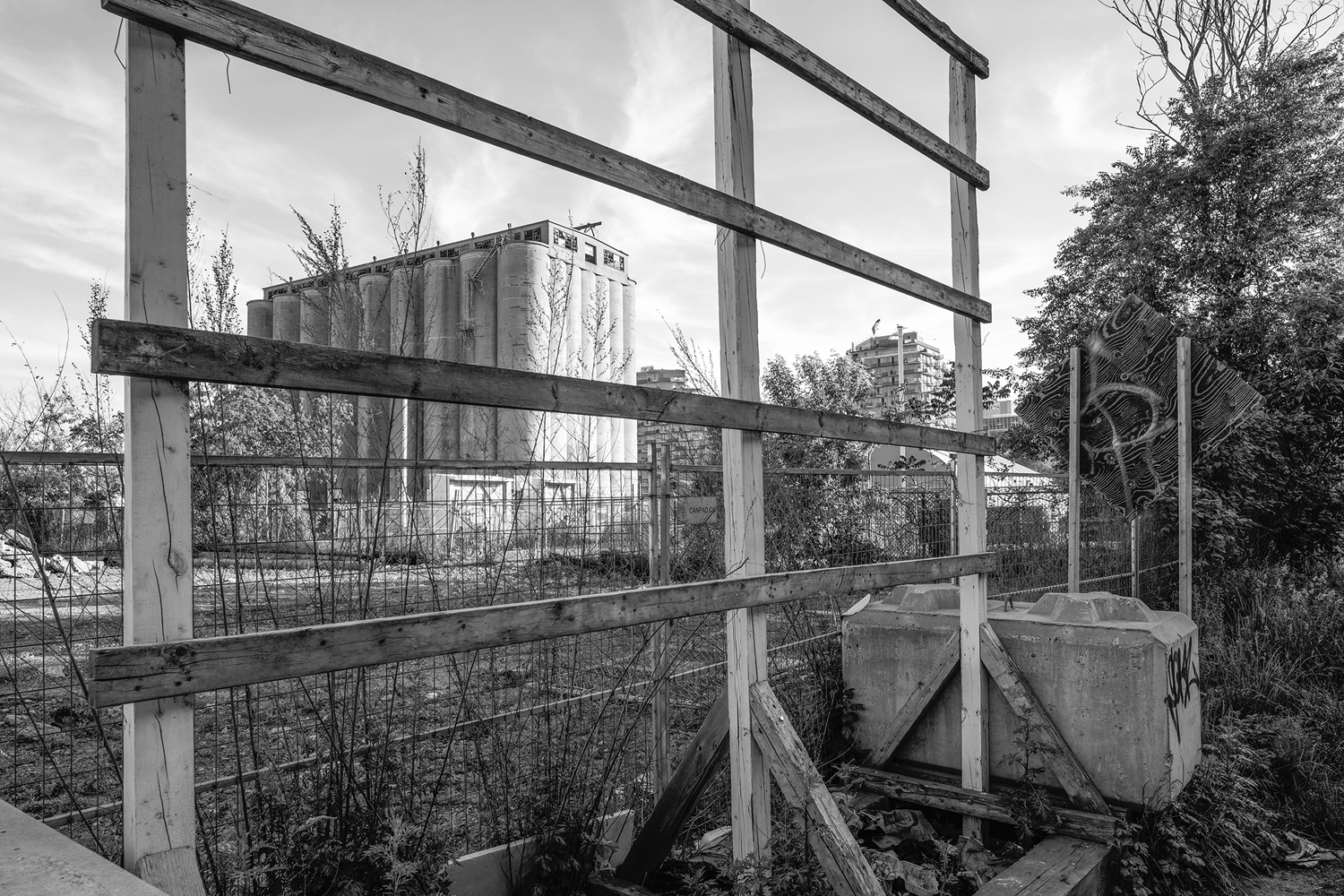 This concrete remainder of industrial heritage on the waterfront, located at the foot of Parliament Street at the mouth of Keating Channel, is the only surviving storage silo left on the former site of the Victory Soya Mills.