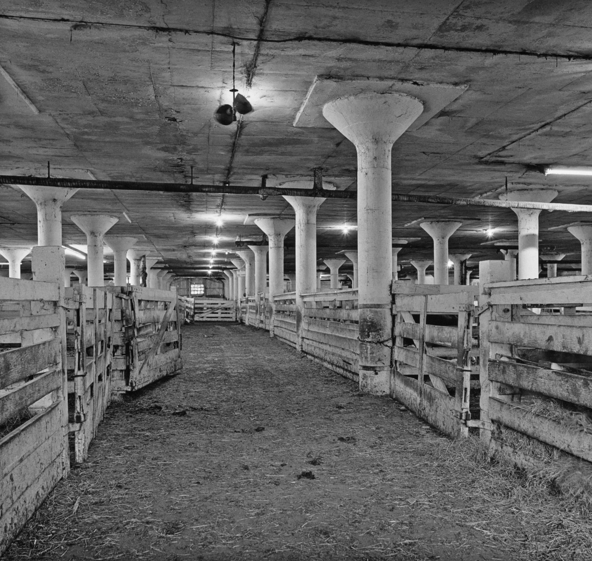 Ontario Stockyards, interior of concrete stable, 1991