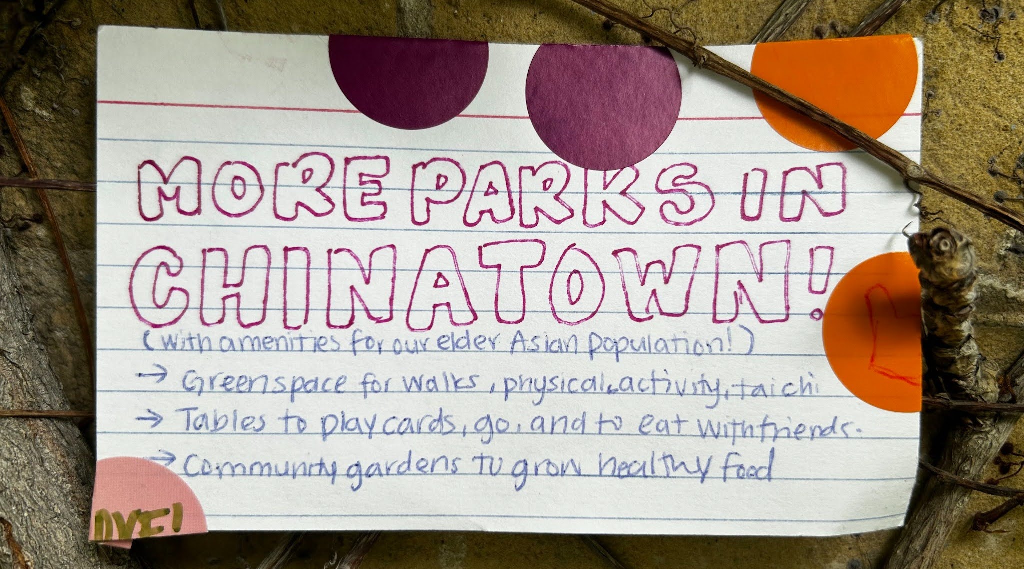 More parks in Chinatown! With amenities for our elder Asian population. Greenspace for walks, physical activity, tai chi. Tables to play cards, Go, and to eat with friends. Community gardens to grow healthy food.