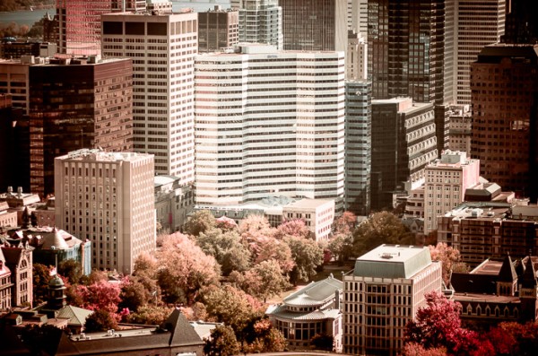 McGill University campus