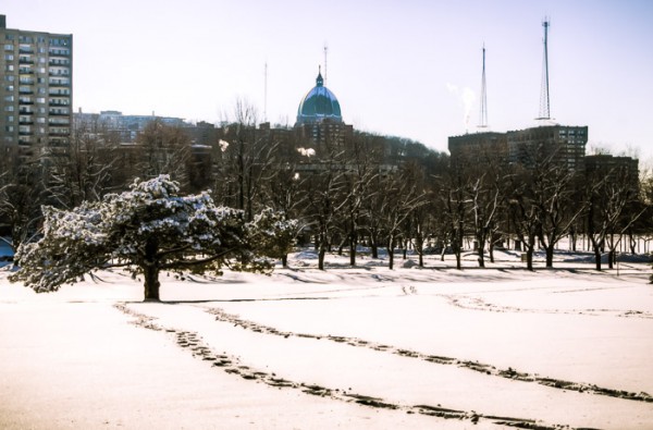 The Oratory from Notre Dame des Neiges cemetery