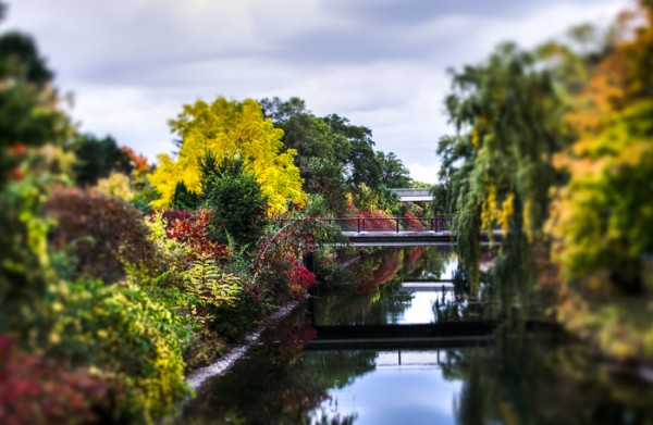 Photo du jour: Île Notre-Dame - Spacing Montreal | Spacing Montreal