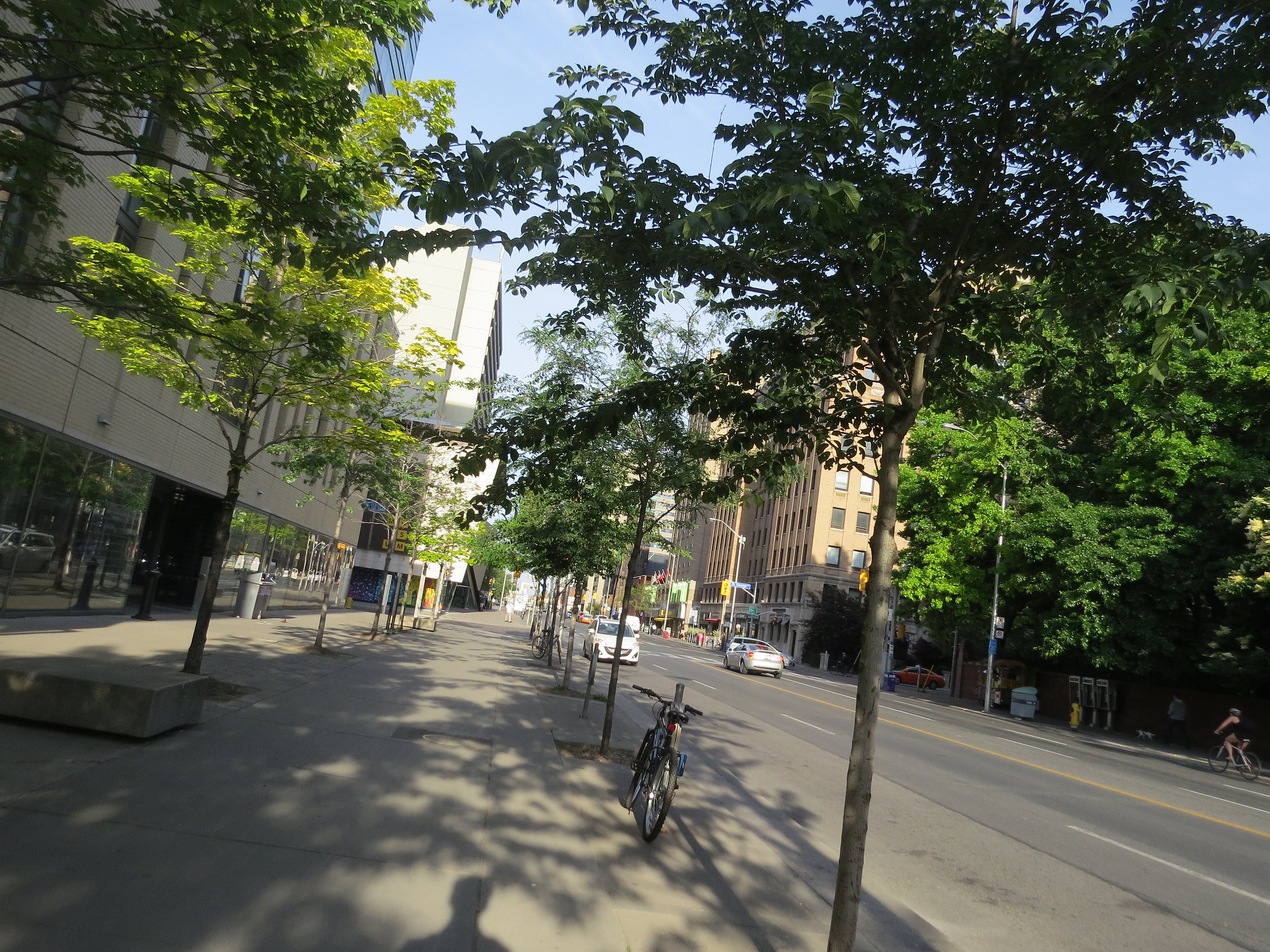 Growing the urban forest in the face of climate change - Spacing ...