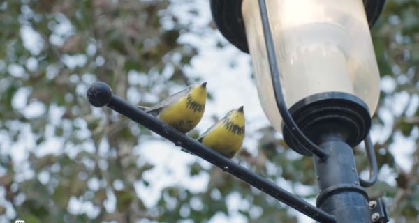 Art featuring two yellow birds perched on a lamppost