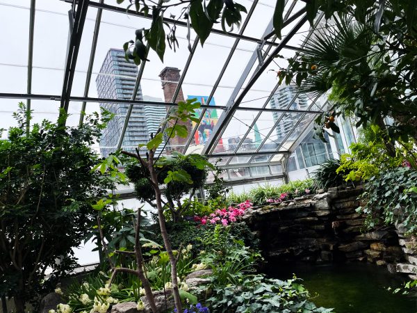 Looking from inside Allan Gardens conservatory to the city