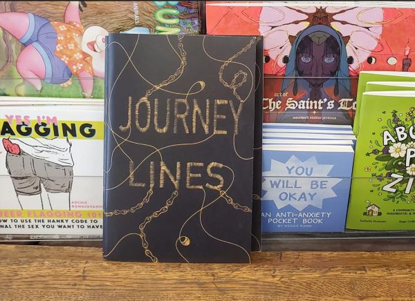 Image of Journey Lines zine in a bookstore