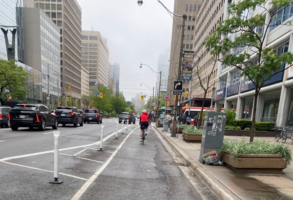 Cyclist in University Avenue bike lane