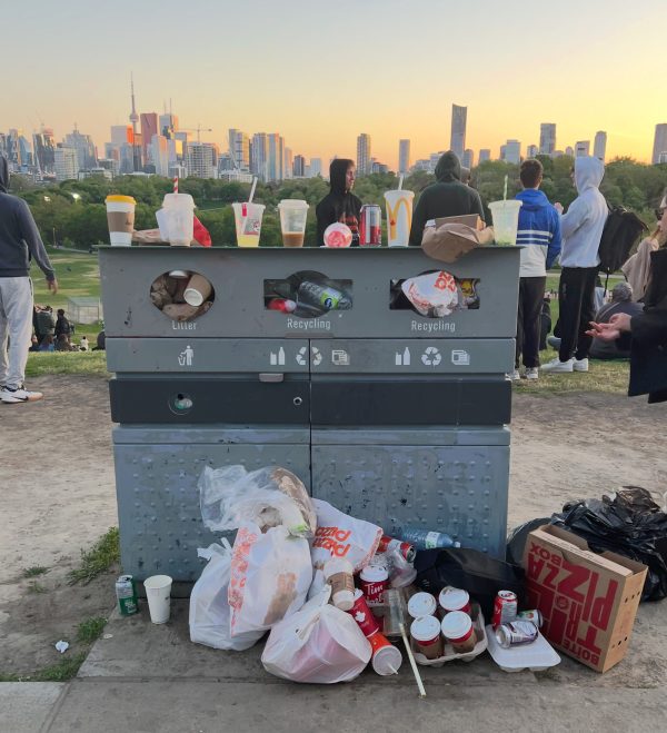 Overflowing garbage bins at Riverdale Park (May 19, 2025 - taken by Raphaella Valeri, organizer with the TPSC)