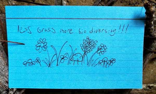 Less grass, more biodiversity!!!