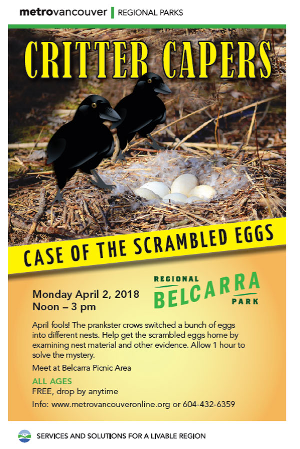 Event Metro Vancouver Critter Capers the Case of the Scrambled Eggs